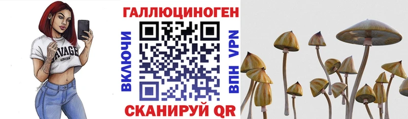 Псилоцибиновые грибы мухоморы  купить  сайты  Норильск 